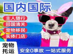 双流机场空运国际宠物托运 【国